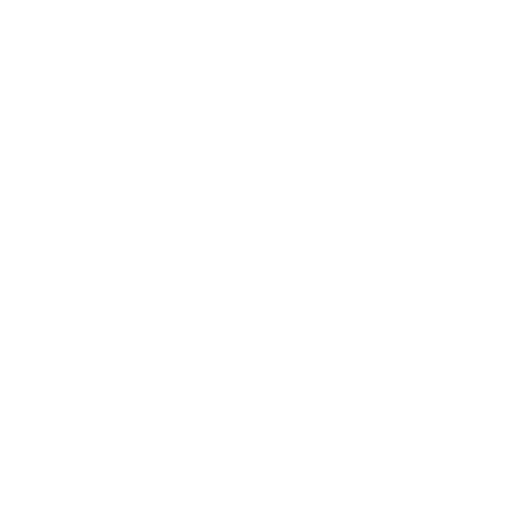 logo footer